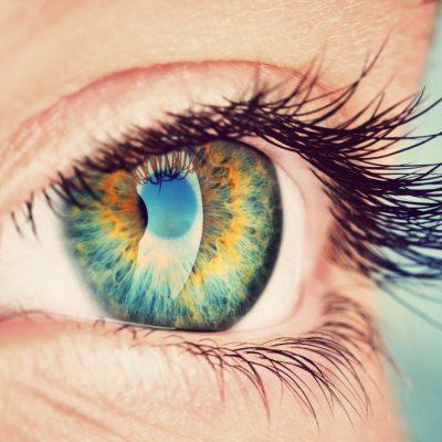 What are the Small Black Dots in my Vision?